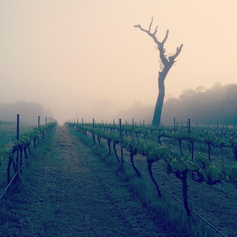Island Brook Estate Winery And Chalets Margaret River Exterior foto