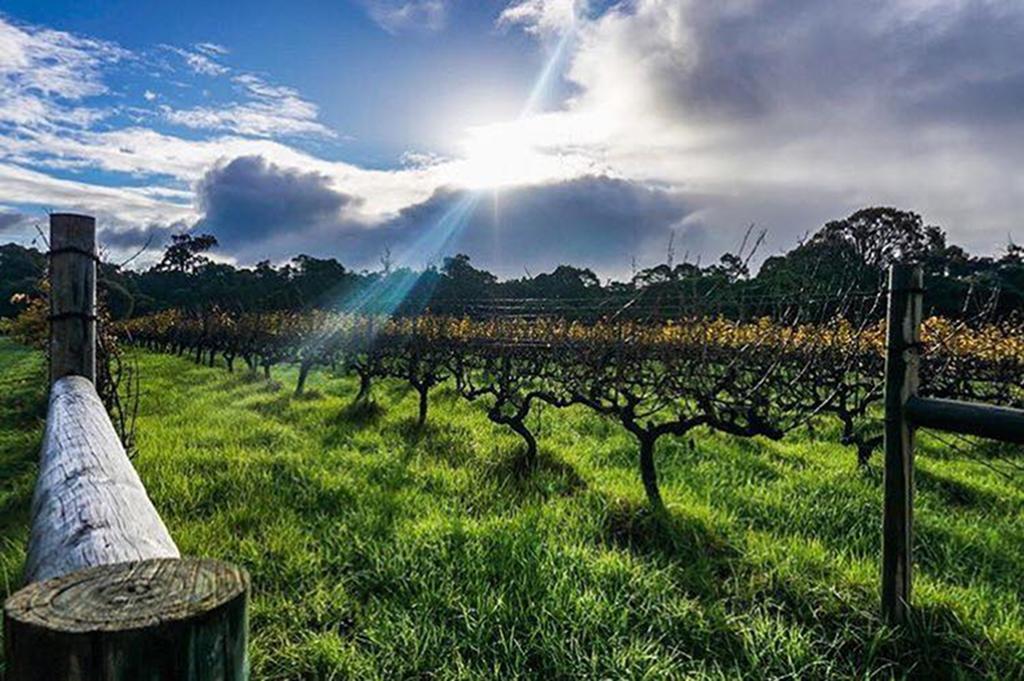 Island Brook Estate Winery And Chalets Margaret River Exterior foto